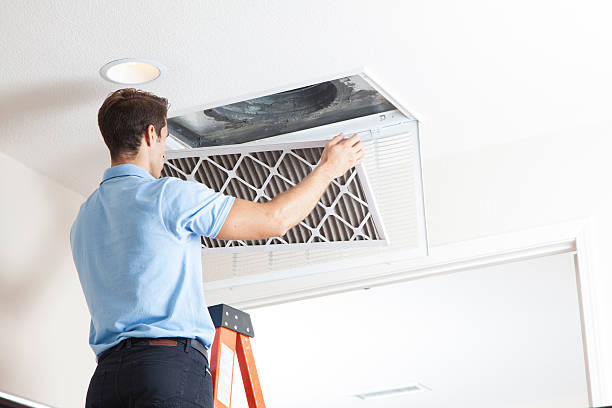 Best Solar-powered HVAC Systems in St Augustine, FL